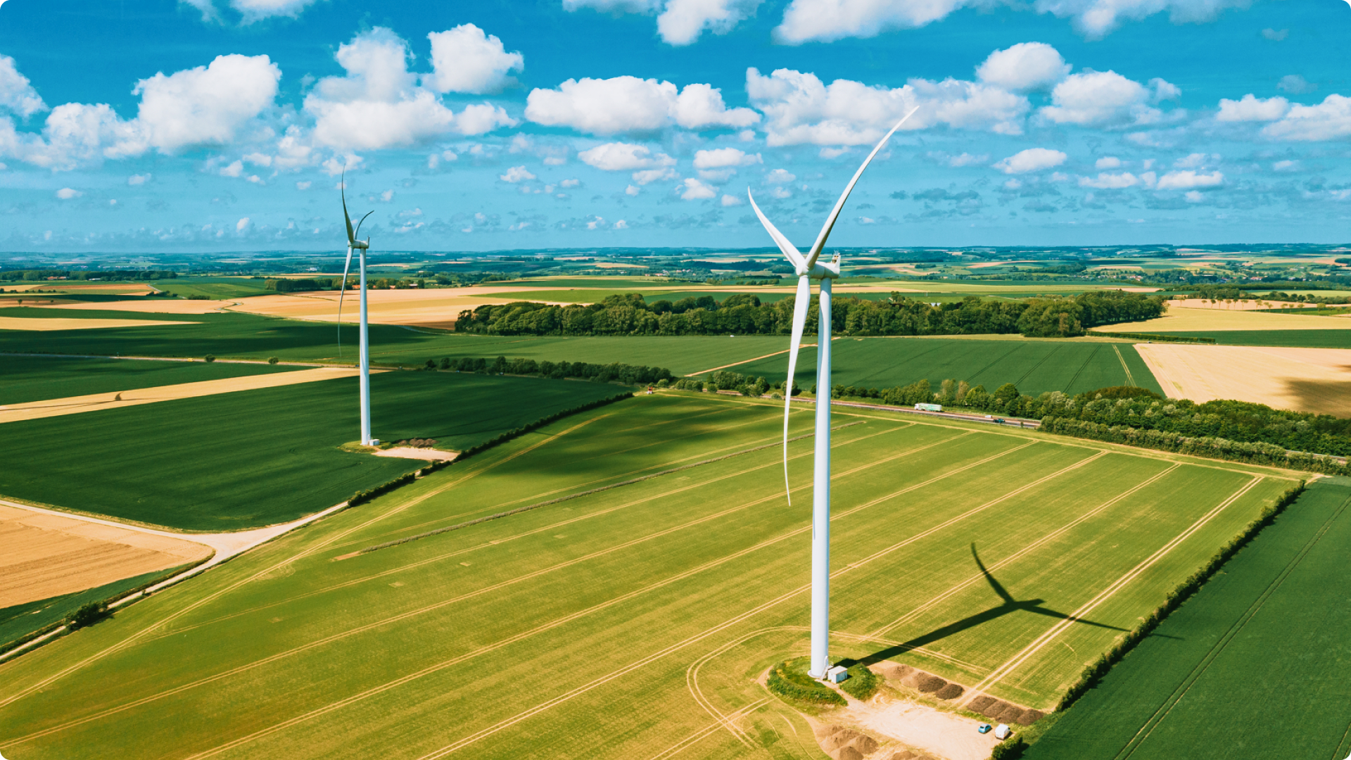 Cover du projet McCain