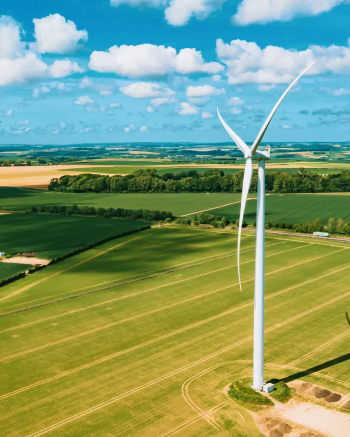 Cover du projet McCain