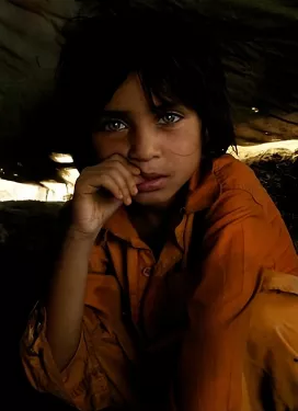 Médecins Sans Frontières - Urban Survivors