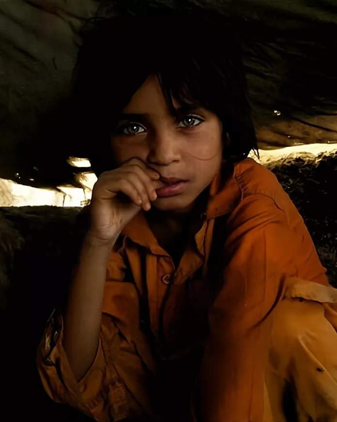 Cover du projet Urban Survivors