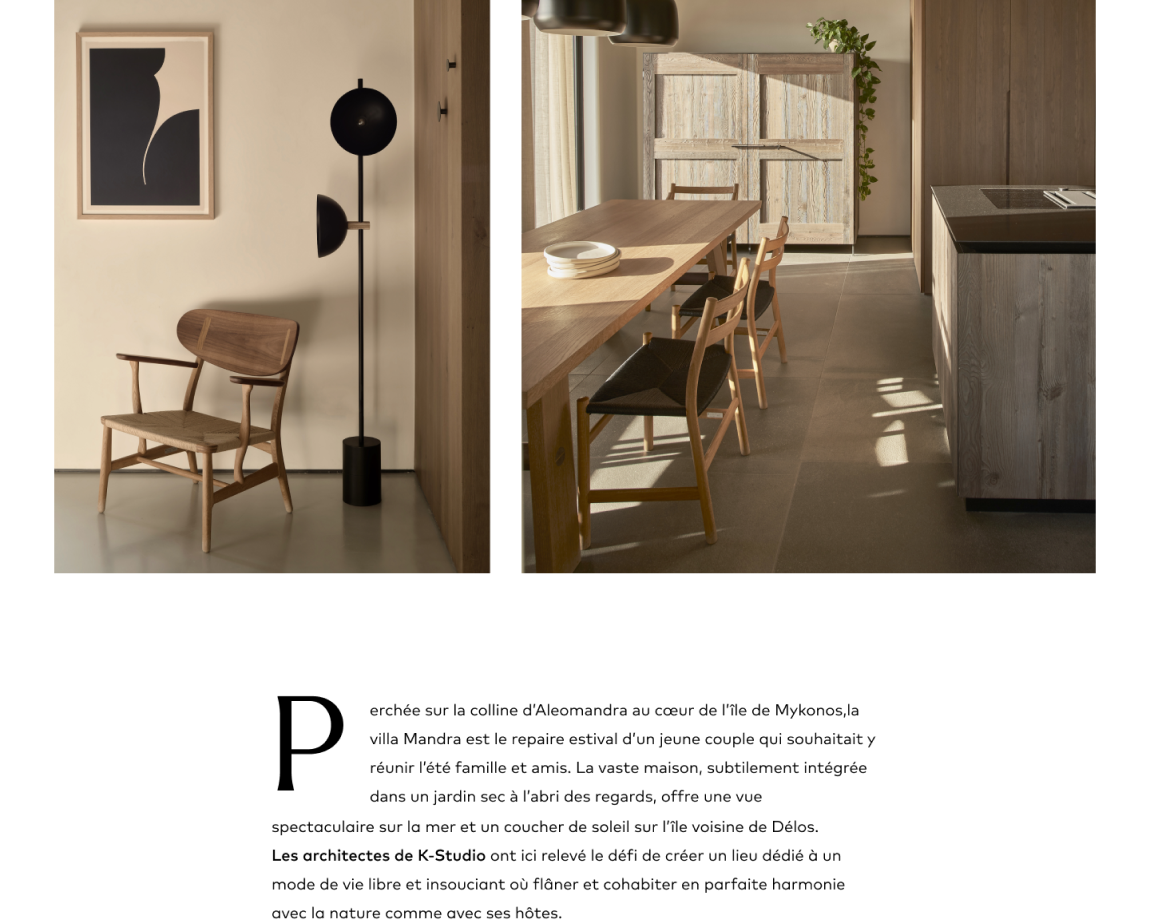 Screenshot page article